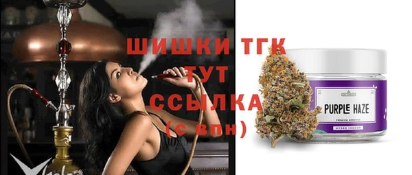 ECSTASY Елизово