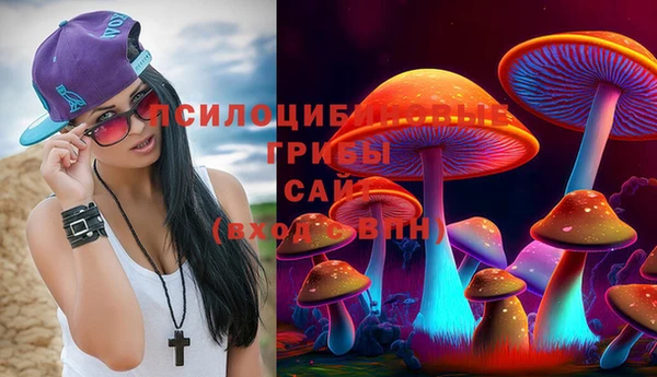 Альфа ПВП Алексеевка