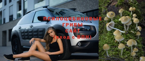 ешки Алзамай